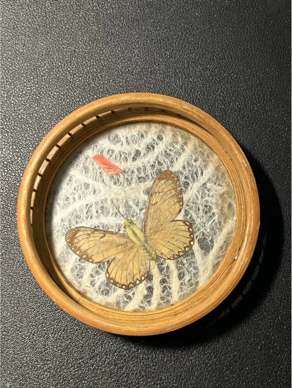 Japanese 1970s Set 5 Bamboo Pressed Butterfly Coasters & Serving Tray, 11x1.5”